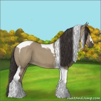 Horse Color:Smoky Grullo Tobiano