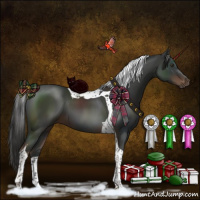 Horse Color:Liver Chestnut Tobiano 