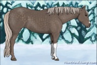 Horse Color:Silver Black 