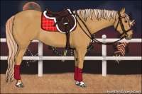 Horse Color:Palomino Rabicano 