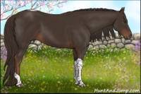 Horse Color:Liver Chestnut Tobiano 