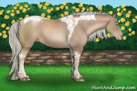 Horse Color:Liver Chestnut Pearl Mushroom Tobiano