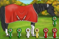 Horse Color:Black Tobiano 