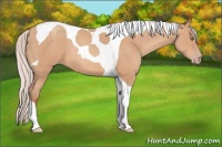 Horse Color:Silver Amber Champagne Tobiano