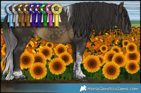 Horse Color:Buckskin Tobiano Rabicano