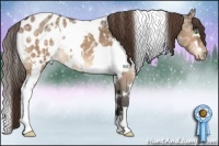 Horse Color:White Spotted Bay Ice Dun Appaloosa 
