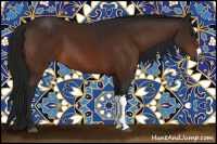 Horse Color:Gray Bay