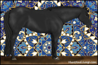 Horse Color:Gray Black 