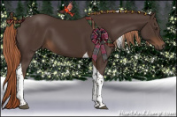 Horse Color:Liver Chestnut Tobiano 