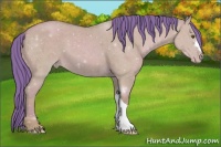 Horse Color:Watercolor Classic Cream Champagne Dun 