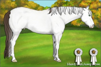 Horse Color:White Spotted Amber Cream Champagne Dun 