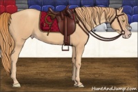 Horse Color:Gold Champagne 