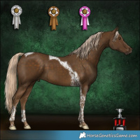 Horse Color:Chocolate Palomino Mushroom Tobiano 