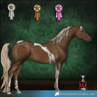 Horse Color:Chocolate Palomino Mushroom Tobiano