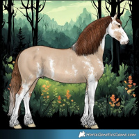 Horse Color:Red Dun Sabino Rabicano 