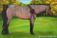 Horse Color:Bay Roan 