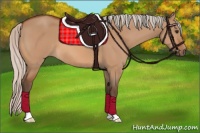 Horse Color:Silver Bay Dun 