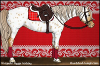 Horse Color:Palomino Dun Appaloosa 