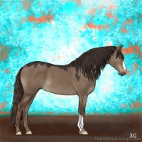 Horse Color:Liver Red Dun