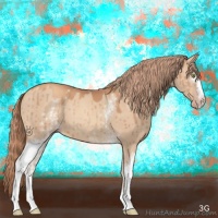 Horse Color:White Spotted Gold Champagne Dun