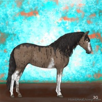 Horse Color:White Spotted Liver Red Dun 