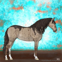 Horse Color:Liver Red Dun 