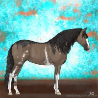 Horse Color:White Spotted Liver Red Dun 