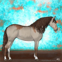 Horse Color:Liver Red Dun 