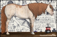 Horse Color:Gold Champagne Dun Rabicano