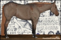 Horse Color:Liver Red Dun Brindle 