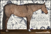 Horse Color:Liver Red Dun Rabicano Brindle 