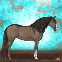 Horse Color:Liver Red Dun 