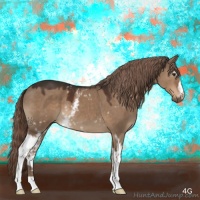 Horse Color:White Spotted Liver Red Dun 