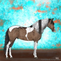Horse Color:Bay Dun Sabino Tobiano 