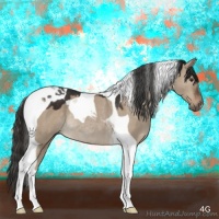 Horse Color:Liver Red Dun Tobiano Rabicano 