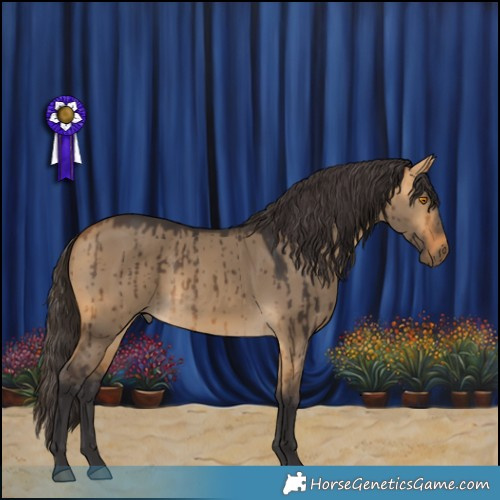 Horse Color:Buckskin Dun Brindle 