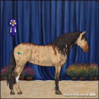 Horse Color:Buckskin Dun Brindle 