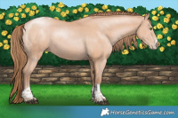 Horse Color:Bay Pearl Mushroom Sabino Tobiano Rabicano  and Bay Pearl Mushroom Sabino Tobiano Rabicano 