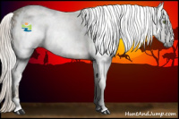 Horse Color:Gray White Spotted Silver Classic Cream Champagne Roan 