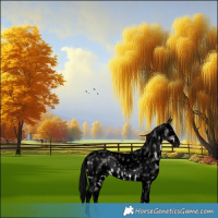 Horse Color:Gray Void Platinum White Spotted Brown Dun Sabino Appaloosa Rabicano  and Gray Void Platinum Brown Dun Tobiano Appaloosa Rabicano 