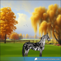 Horse Color:Gray Void Platinum White Spotted Brown Dun Sabino Appaloosa Rabicano and Gray Void Platinum Brown Dun Tobiano Appaloosa Rabicano