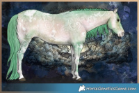 Horse Color:Watercolor White Spotted Bay Ice Onyx Appaloosa 