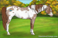 Horse Color:White Spotted Red Roan Frame Rabicano 