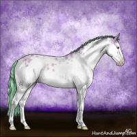 Horse Color:Painted Silver Sable Champagne Chinchilla Dun Sabino Splash Rabicano Brindle 