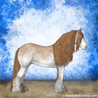 Horse Color:White Spotted Red Roan 