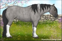 Horse Color:Grullo Roan Tobiano