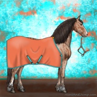 Horse Color:Bay Sabino Rabicano and Amber Champagne Sabino Rabicano