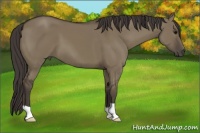 Horse Color:Smoky Grullo