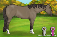 Horse Color:Smoky Grullo 