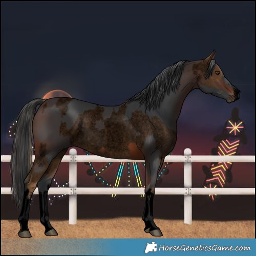 Horse Color:Void White Spotted Chocolate Palomino Roan Rabicano  and Void White Spotted Brown Rabicano 